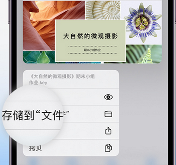 宜君apple维修中心分享iPhone文件应用中存储和找到下载文件