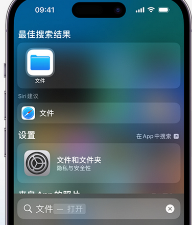 宜君apple维修中心分享iPhone文件应用中存储和找到下载文件