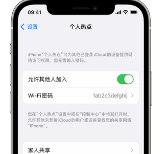 宜君apple服务站点分享iPhone上个人热点丢失了怎么办