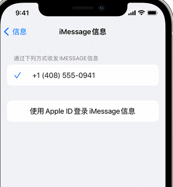 宜君apple维修iPhone上无法正常发送iMessage信息 