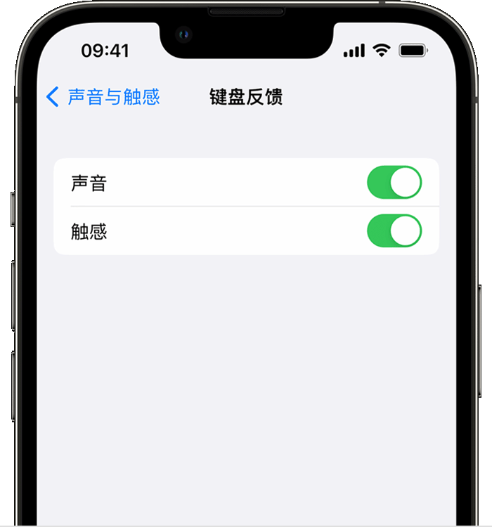 宜君苹果14维修店分享如何在 iPhone 14 机型中使用触感键盘 