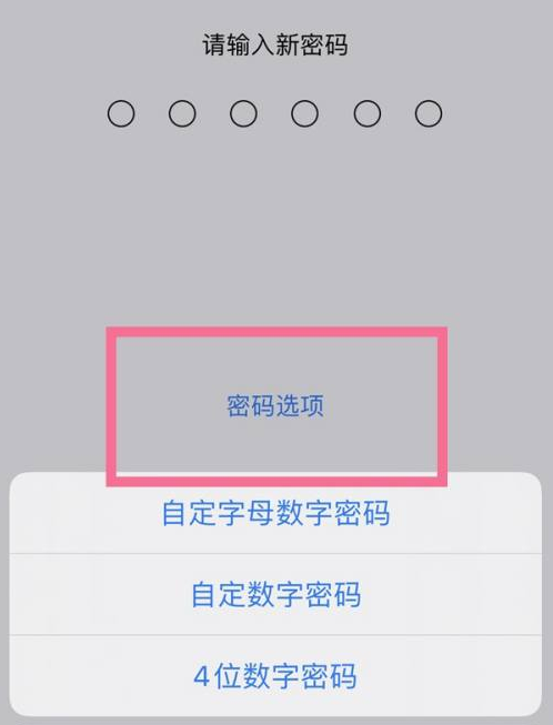 宜君苹果14维修分享iPhone 14plus设置密码的方法 