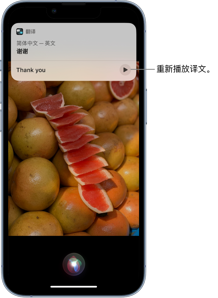 宜君苹果14维修分享 iPhone 14 机型中使用 Siri：了解 Siri 能帮你做什么 