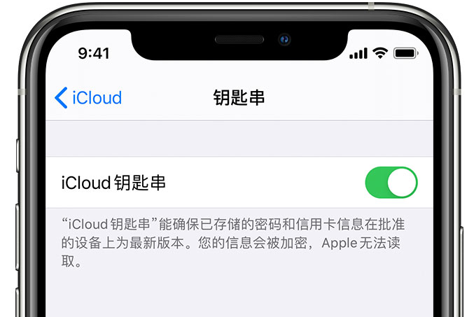 宜君苹果手机维修分享在 iPhone 上开启 iCloud 钥匙串之后会储存哪些信息 