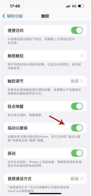 宜君苹果手机维修分享iPhone手机如何设置摇一摇删除文字 